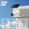 Tapo C425 KIT <br>Solar-Powered Security Camera Kit