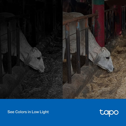 Tapo C320WS <br> Outdoor Security Wi-Fi Camera