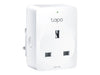 Tapo P100<br>Mini Smart Wi-Fi Socket